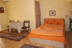  Studio Pleven Center  Плевна